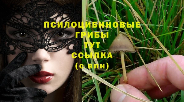 тгк Баксан