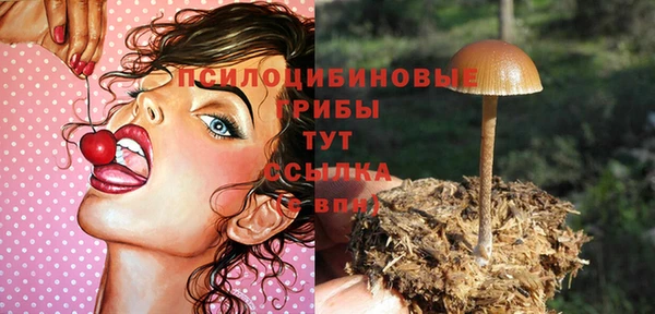 тгк Баксан