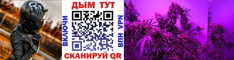 это телеграм  Свободный  Шишки марихуана тримм  купить наркотики сайты 